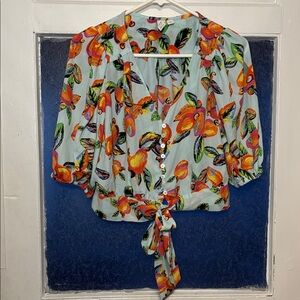 Joie Women’s Colorful Floral Button-Up Crop Top Front Tie Blouse Size Large